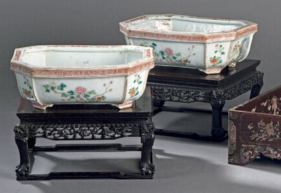 PAIRE DE PETITES JARDINIÈRES octogonales...