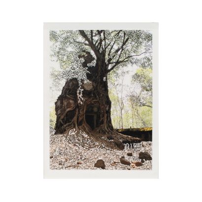 Raphaëlle PERIA (née en 1989)
Hopea Odorata...