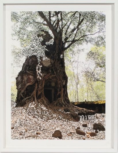 Raphaëlle PERIA (née en 1989)
Hopea Odorata...