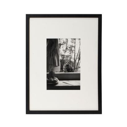Hervé GUIBERT (1954 - 1993)
Le Chat, Villa...