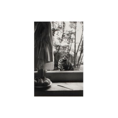 Hervé GUIBERT (1954 - 1993)
Le Chat, Villa...