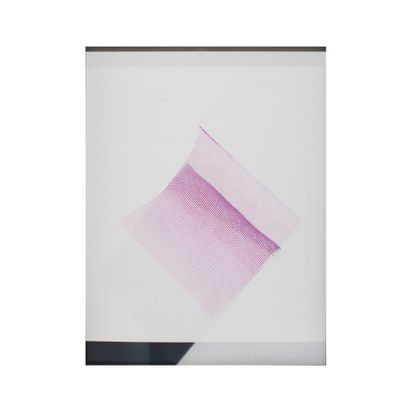 Sara VAN DER BEEK (née en 1976)
Pink Grid,...