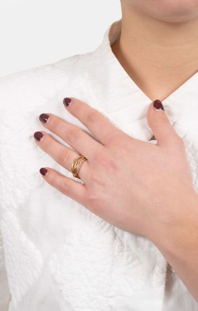 Anke VRIGNON (née en 1962)
Bague 