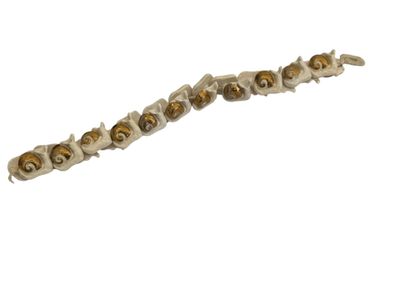 SNAILS EARTHENWARE BRACELET 
White and gold...