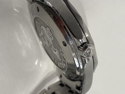 OMEGA 
Watch model Seamaster Professionnal....