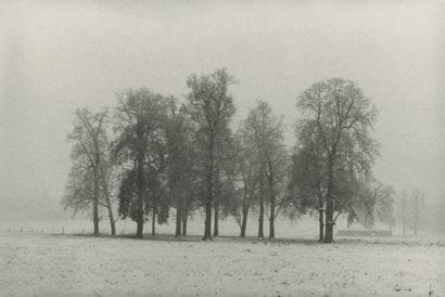 Jérémy LEMPIN (XX) 
Parc de Versailles, hiver,...