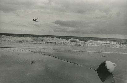 Jérémy LEMPIN (XX) 
La mouette et la bouée,...