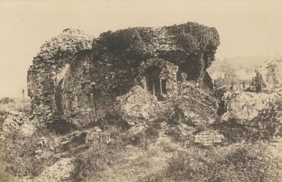 Auteur non-identifié 
Ruines et la végétation,...