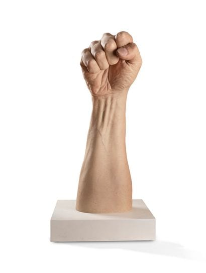 Jamie SALMON (1971)

The fist

Silicone,...