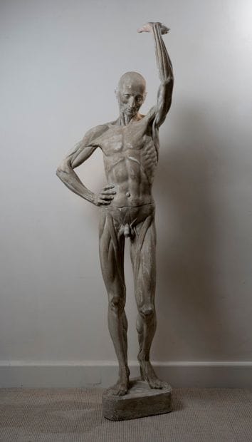 D’après Ercolle LELLI (1702-1766)

After...
