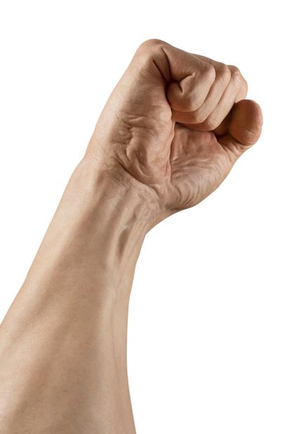 Jamie SALMON (1971)

The fist

Silicone,...