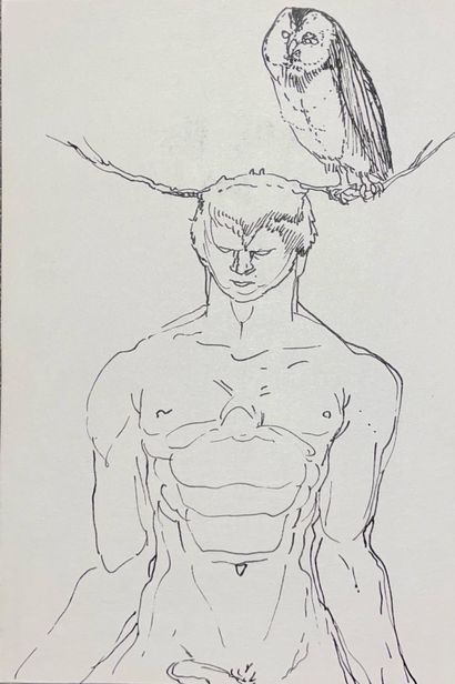 Jean-Noël LAVESVRE (1946)


Nu à la chouette


Encre...