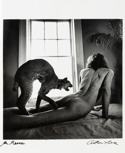 Arthur TRESS (1940-)


Man and Ocelot, 1979


Tirage...