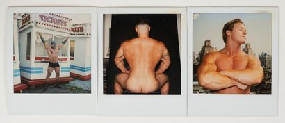 Michael ALAGO


Dreaming in Chelsea, c. 2...