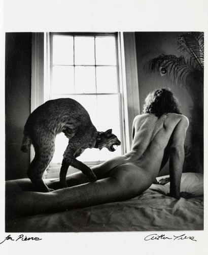Arthur TRESS (1940-)


Man and Ocelot, 1979


Tirage...