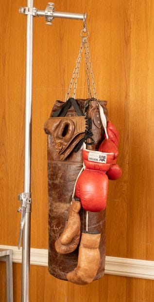 ACCESSOIRES DE BOXE
Lot comprenant une housse...