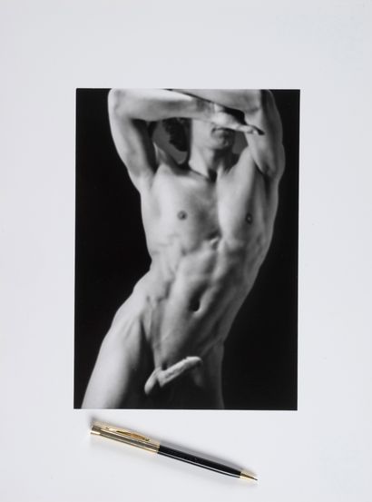 Andreas MAHL	 (1945-)	
Torse et érection,...