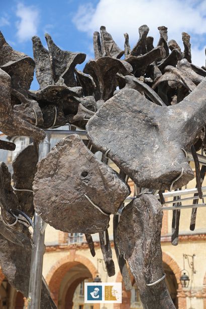 Apatosaurus sp (An Apatosaurus-like Diplodocid)
Morrison...