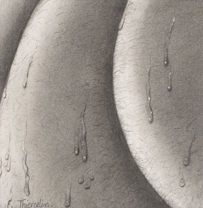 Edith THIERCELIN (1947-)
Full moons
Set of...