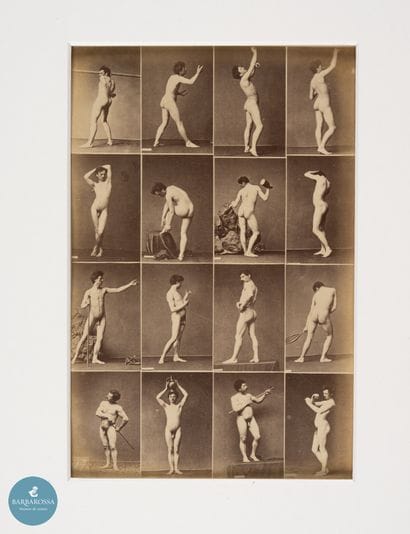 CALAVAS Editeur	
Etude académique pour peintre,...