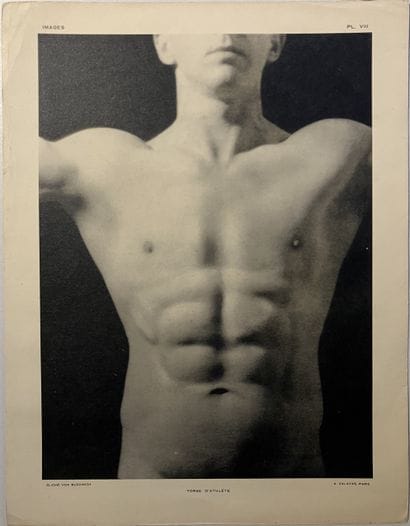 Mario von BUCOWICH (1884-1947)
Torso of an...