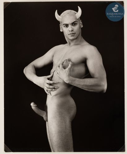 Andreas 	MAHL	(1945-)
	Male Animal, 1999
	Tirage...