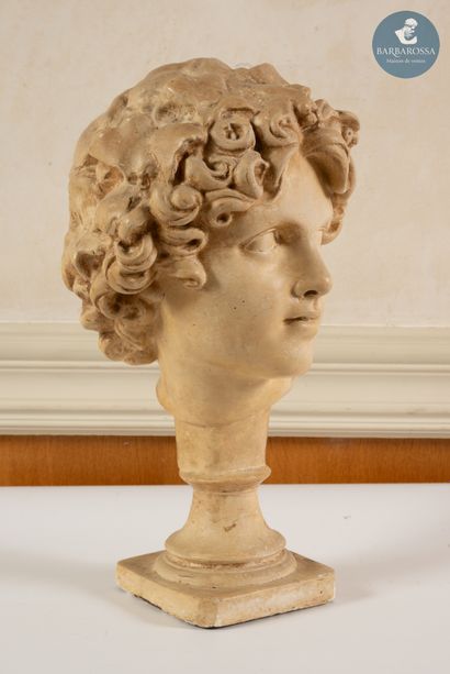 D'après l'Antique
Tête de garçon
Epreuve...