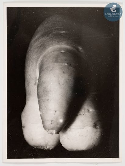 RENÉ-JACQUES (1908-2003, René GITON dit).
Navet,...