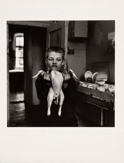 Georgia FIORIO (1967)
Shelter for street...
