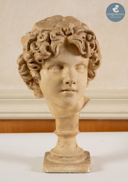 D'après l'Antique
Tête de garçon
Epreuve...