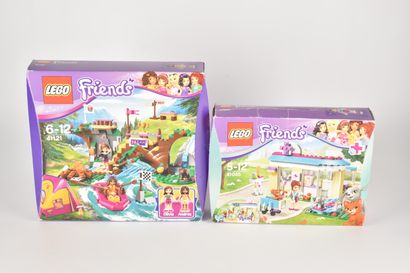 LEGO - Lot de 2 boîtes LEGO FRIENDS : La...