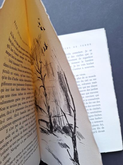 MODERN ILLUSTRATED BOOKS
4 volumes
1/