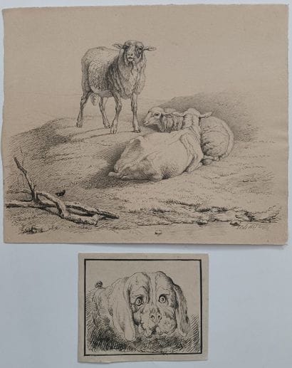 Jean-Michel Cels (1819-1894) - « Moutons...
