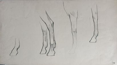 Bernard Boutet de Monvel (1881–1949) — “Study...