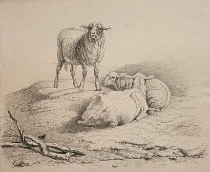 Jean-Michel Cels (1819-1894) - « Moutons...