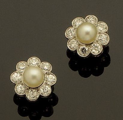 Paire de boutons d'oreilles 