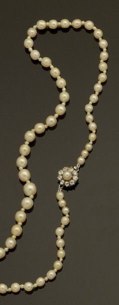 Collier de perles probablement fines en chute...