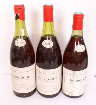 LOT 3 BTES BOURGOGNE ROUGE 
