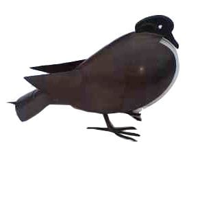 LAMPE 