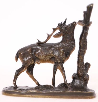 PETIT BRONZE ANIMALIER 