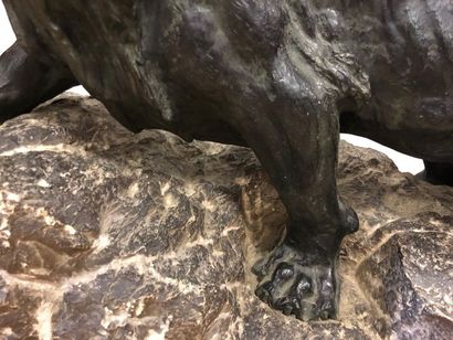 BRONZE 