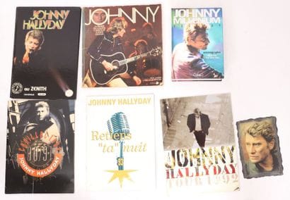 LOT DE DISQUES VINYLS 33 ET 45 TOURS 