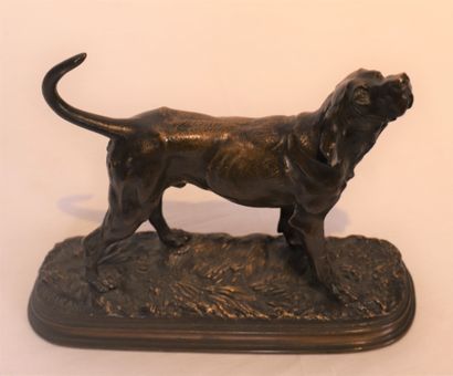 Alfred DUBUCAND

JOLI BRONZE ANIMALIER 