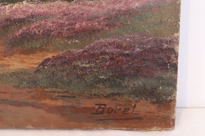 Paul BOREL (1828-1913)

Champ de bruyères

Huile...