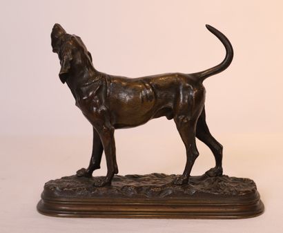Alfred DUBUCAND

JOLI BRONZE ANIMALIER 