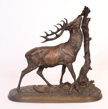 Pierre-Jules MENE
JOLI BRONZE 