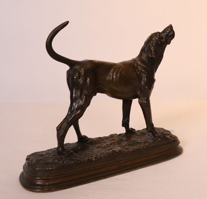 Alfred DUBUCAND

JOLI BRONZE ANIMALIER 