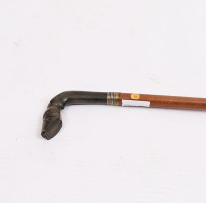 CANNE-EPEE 