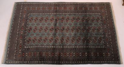 
TAPIS BOUKHARA (Pakistan)




Velours en...