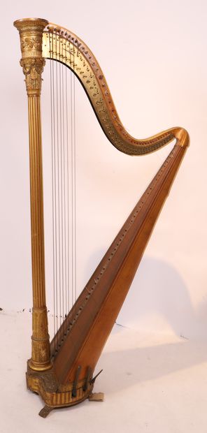 Naderman
43-STRING PEDAL HARP IN MOULDED...